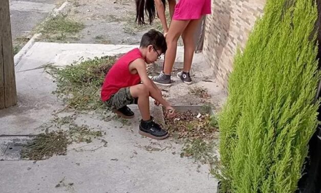 RETO “ROMPE LA BANQUETA Y PLANTA UN ARBOL” … Por Israel Dirzo