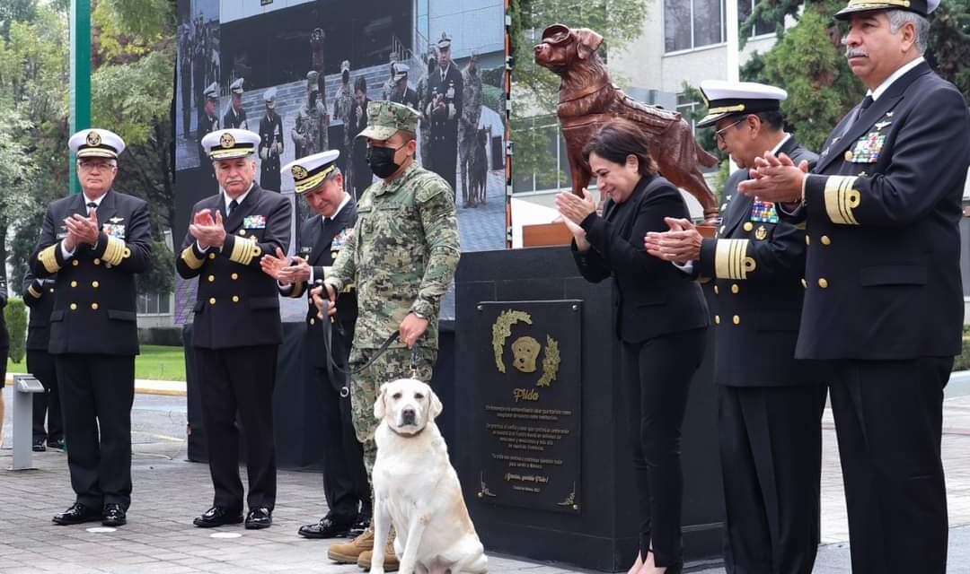 Secretaría de Marina-Armada de México (Semar), rinde homenaje a la perrita Frida