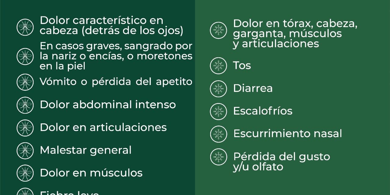 Aprende a distinguir los síntomas del dengue