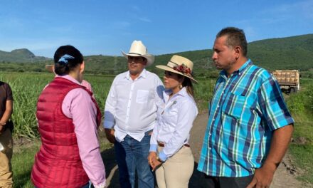 INICIA SEDAGRO REHABILITACIÓN DE CAMINOS DE SACA EN YAUTEPEC AFECTADOS POR LAS LLUVIAS