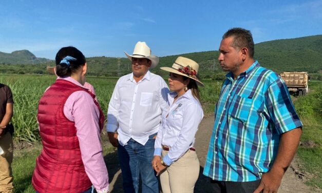 INICIA SEDAGRO REHABILITACIÓN DE CAMINOS DE SACA EN YAUTEPEC AFECTADOS POR LAS LLUVIAS