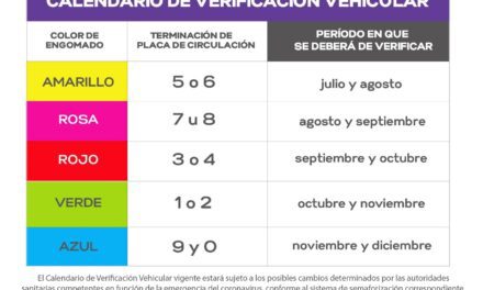 EN AGOSTO VERIFICAN LOS AUTOMÓVILES CON ENGOMADOS AMARILLO Y ROSA