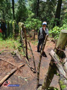 Proyectan la creación de UMAS en Tetela del Volcán como alternativa a la deforestación