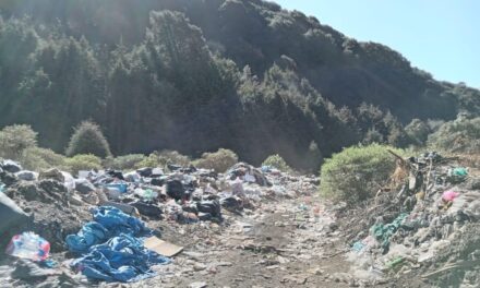 CLAUSURA PROPAEM DE MANERA DEFINITIVA TIRADERO A CIELO ABIERTO EN HUITZILAC