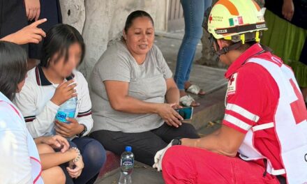 ATIENDEN DE MANERA INMEDIATA EMERGENCIA POR ENJAMBRE DE ABEJAS EN TELESECUNDARIA DE CUAUTLA