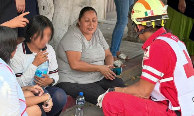 ATIENDEN DE MANERA INMEDIATA EMERGENCIA POR ENJAMBRE DE ABEJAS EN TELESECUNDARIA DE CUAUTLA