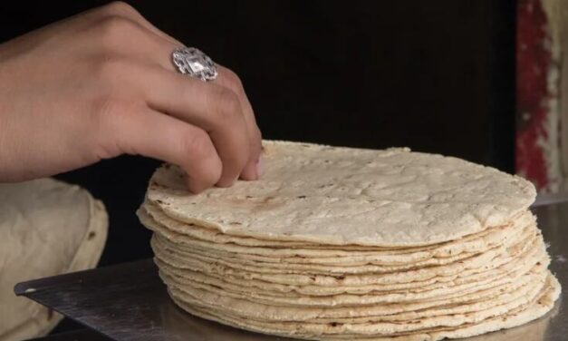 TORTILLAS PIRATA… POR ISRAEL DIRZO