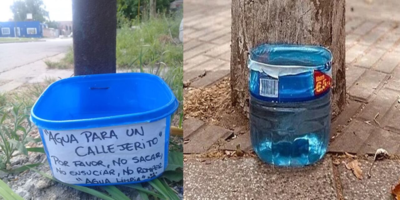 CAMPAÑA… AGUA PARA TODOS