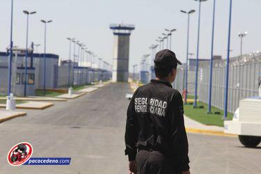 ESTOS SON LOS RESULTADOS DEL OPERATIVO ENJAMBRE EN MORELOS…